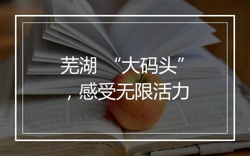 芜湖 “大码头”，感受无限活力