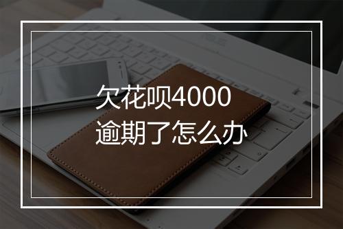 欠花呗4000逾期了怎么办