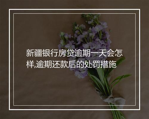 新疆银行房贷逾期一天会怎样,逾期还款后的处罚措施
