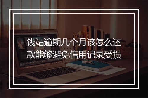 钱站逾期几个月该怎么还款能够避免信用记录受损