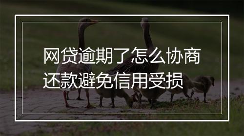 网贷逾期了怎么协商还款避免信用受损