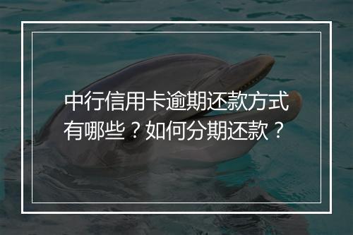 中行信用卡逾期还款方式有哪些？如何分期还款？