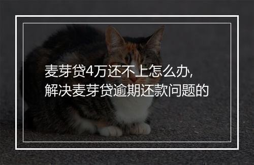 麦芽贷4万还不上怎么办,解决麦芽贷逾期还款问题的