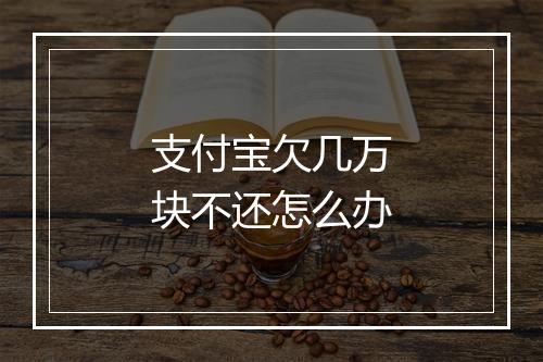 支付宝欠几万块不还怎么办