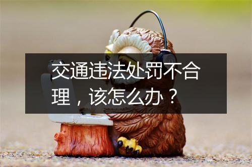 交通违法处罚不合理，该怎么办？