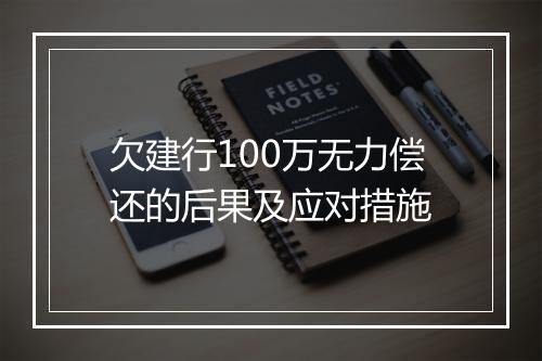 欠建行100万无力偿还的后果及应对措施