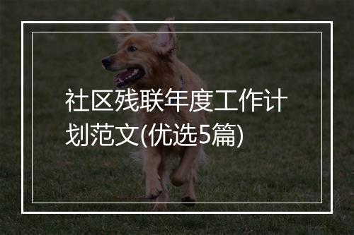 社区残联年度工作计划范文(优选5篇)