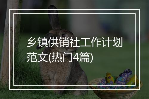 乡镇供销社工作计划范文(热门4篇)