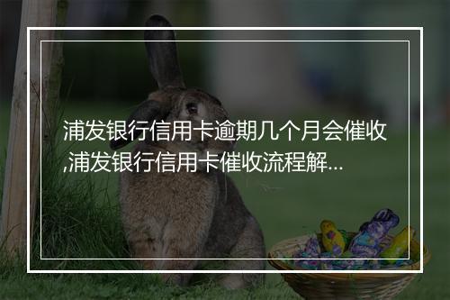 浦发银行信用卡逾期几个月会催收,浦发银行信用卡催收流程解析