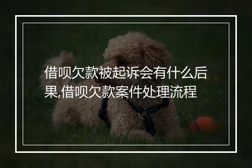 借呗欠款被起诉会有什么后果,借呗欠款案件处理流程