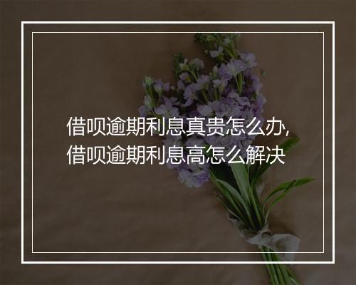 借呗逾期利息真贵怎么办,借呗逾期利息高怎么解决