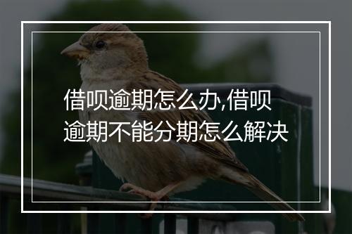 借呗逾期怎么办,借呗逾期不能分期怎么解决
