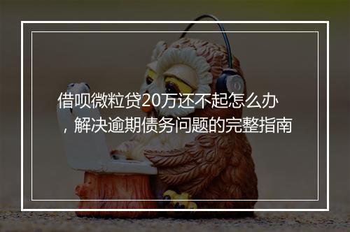借呗微粒贷20万还不起怎么办，解决逾期债务问题的完整指南