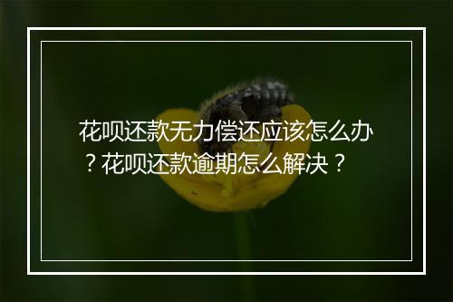 花呗还款无力偿还应该怎么办？花呗还款逾期怎么解决？