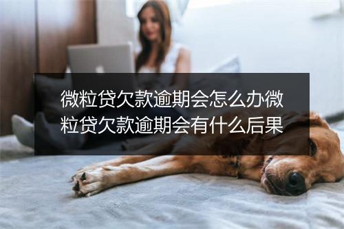 微粒贷欠款逾期会怎么办微粒贷欠款逾期会有什么后果