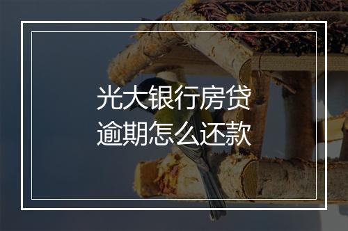 光大银行房贷逾期怎么还款