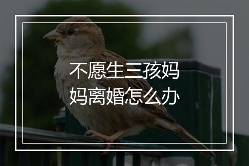 不愿生三孩妈妈离婚怎么办