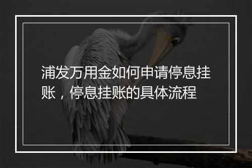 浦发万用金如何申请停息挂账，停息挂账的具体流程