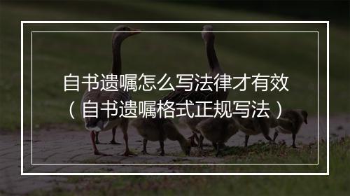 自书遗嘱怎么写法律才有效（自书遗嘱格式正规写法）