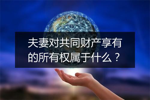 夫妻对共同财产享有的所有权属于什么？