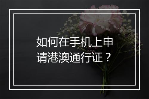 如何在手机上申请港澳通行证？