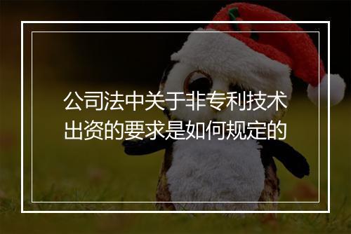 公司法中关于非专利技术出资的要求是如何规定的
