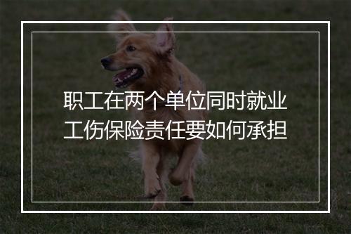 职工在两个单位同时就业工伤保险责任要如何承担