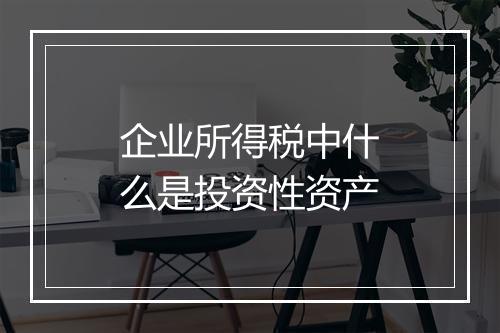 企业所得税中什么是投资性资产