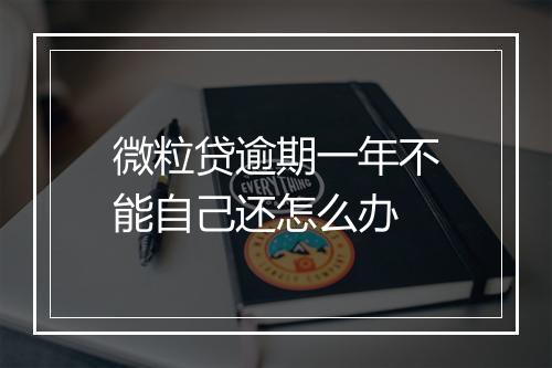 微粒贷逾期一年不能自己还怎么办