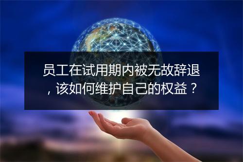 员工在试用期内被无故辞退，该如何维护自己的权益？
