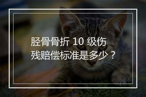 胫骨骨折 10 级伤残赔偿标准是多少？