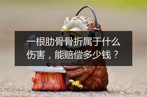 一根肋骨骨折属于什么伤害，能赔偿多少钱？