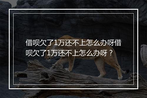 借呗欠了1万还不上怎么办呀借呗欠了1万还不上怎么办呀？