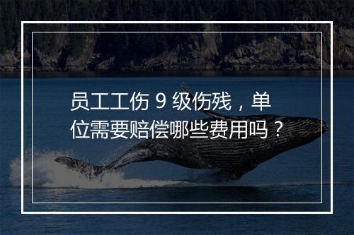 员工工伤 9 级伤残，单位需要赔偿哪些费用吗？