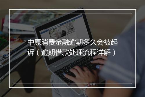 中原消费金融逾期多久会被起诉（逾期借款处理流程详解）