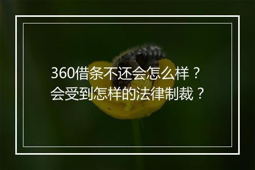 360借条不还会怎么样？会受到怎样的法律制裁？