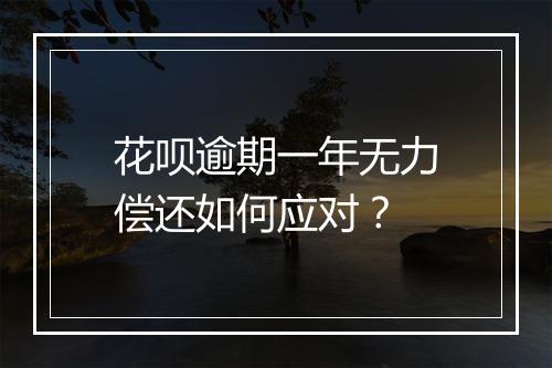 花呗逾期一年无力偿还如何应对？