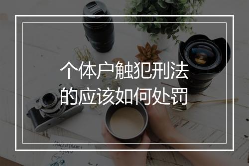 个体户触犯刑法的应该如何处罚