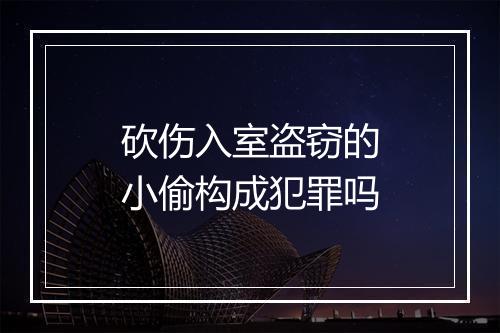 砍伤入室盗窃的小偷构成犯罪吗