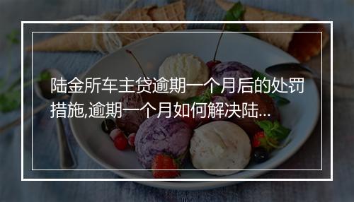 陆金所车主贷逾期一个月后的处罚措施,逾期一个月如何解决陆金所车主贷问题