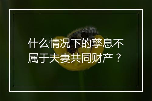 什么情况下的孳息不属于夫妻共同财产？