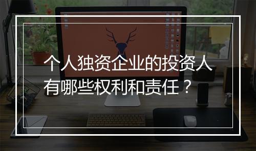 个人独资企业的投资人有哪些权利和责任？