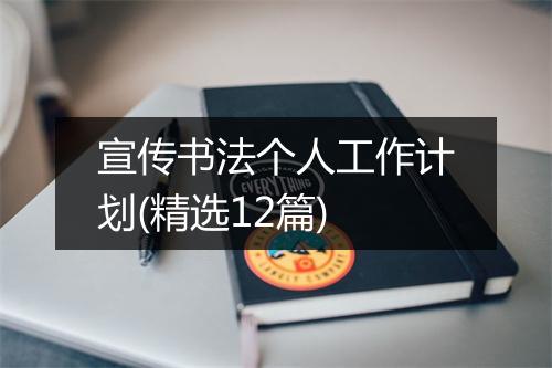 宣传书法个人工作计划(精选12篇)