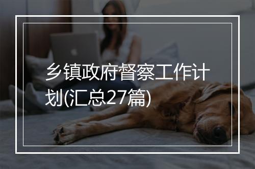 乡镇政府督察工作计划(汇总27篇)
