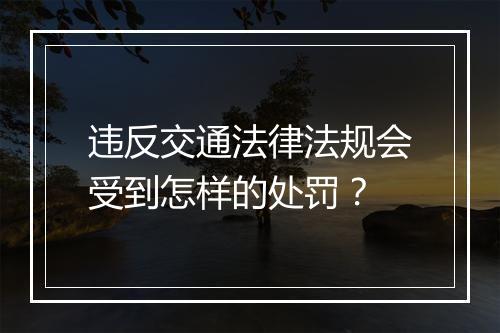 违反交通法律法规会受到怎样的处罚？