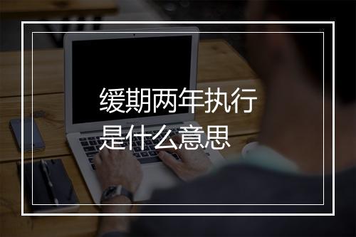 缓期两年执行是什么意思