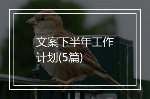文案下半年工作计划(5篇)