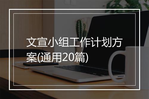 文宣小组工作计划方案(通用20篇)