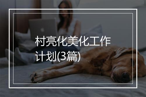 村亮化美化工作计划(3篇)