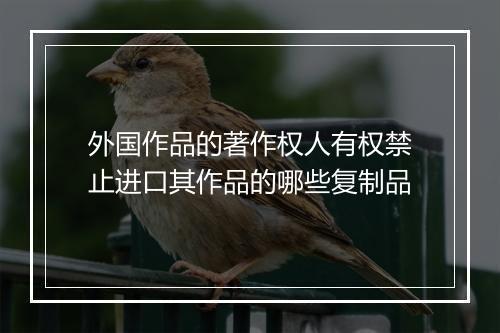 外国作品的著作权人有权禁止进口其作品的哪些复制品
